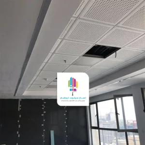 اسقف فرنسية الرياض